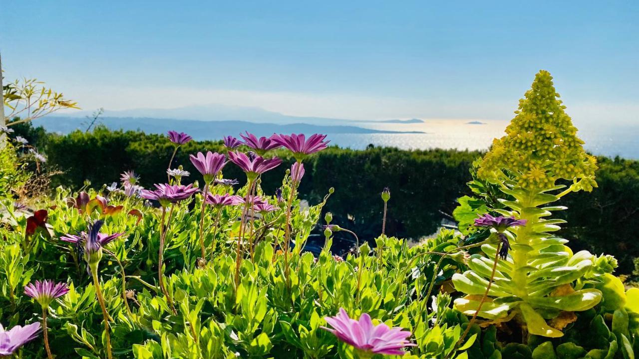 Vue Mer Panoramique Et Piscine Bandol Kültér fotó