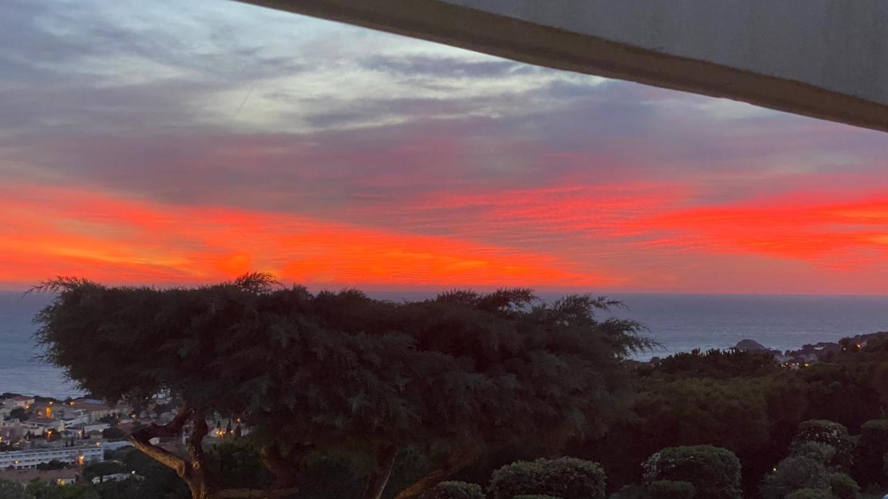 Vue Mer Panoramique Et Piscine Bandol Kültér fotó