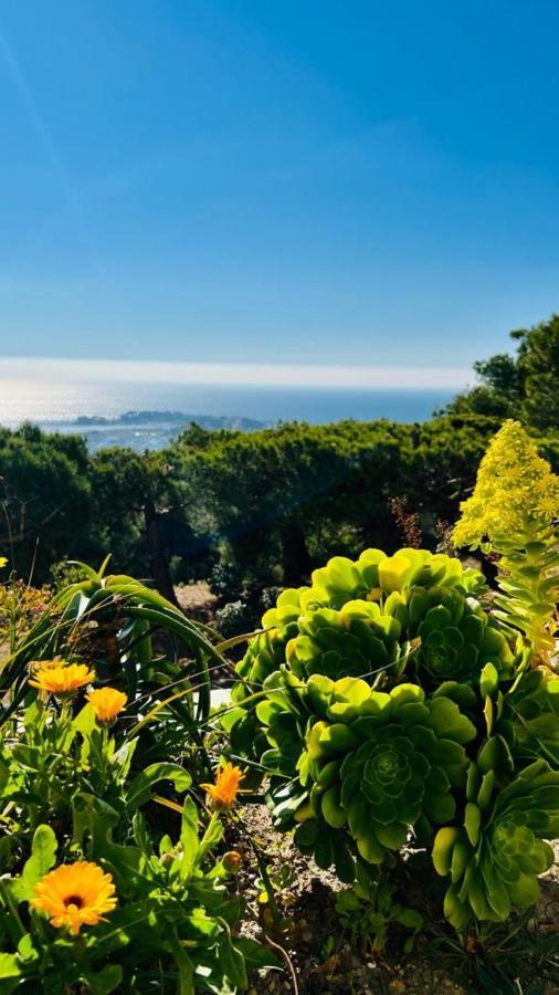 Vue Mer Panoramique Et Piscine Bandol Kültér fotó